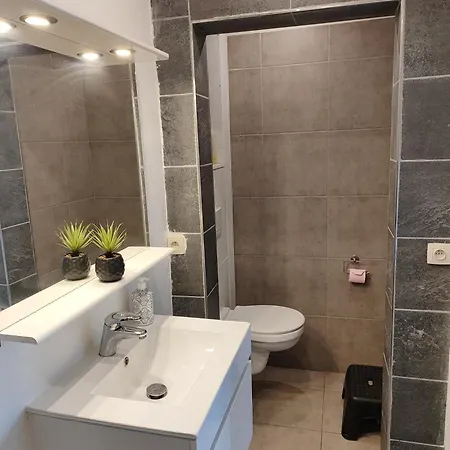 Spacieux Avec Parking Et Terrasse De Panne