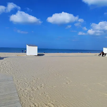 Spacieux Avec Parking Et Terrasse * De Panne