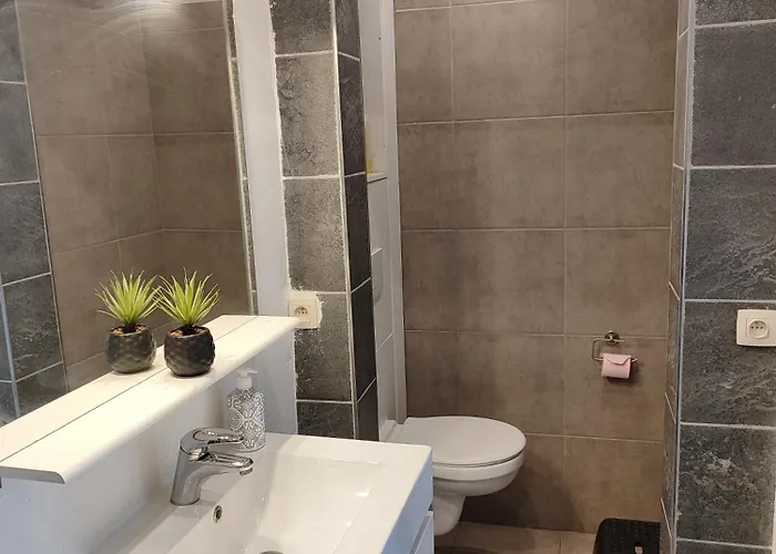 Spacieux Avec Parking Et Terrasse De Panne