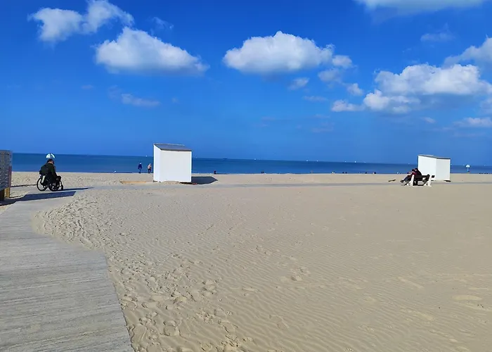 Spacieux Avec Parking Et Terrasse * De Panne