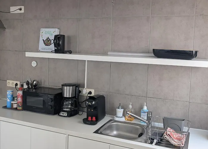 Spacieux Avec Parking Et Terrasse * De Panne