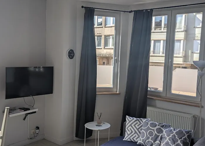 Spacieux Avec Parking Et Terrasse