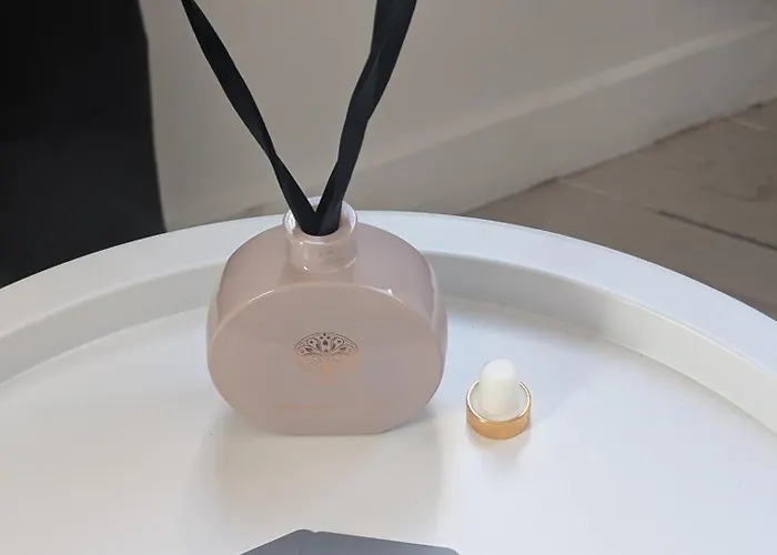 Spacieux Avec Parking Et Terrasse Appartamento *