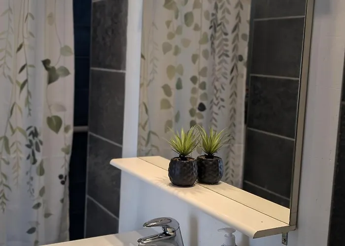 Appartamento Spacieux Avec Parking Et Terrasse *